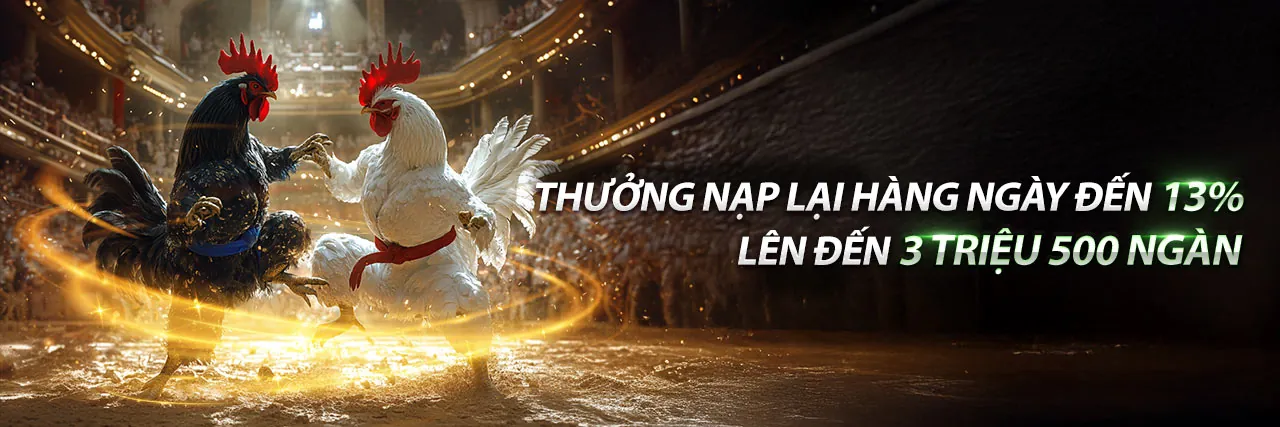 Ưu đãi độc quyền và khuyến mãi hấp dẫn tại bi88
