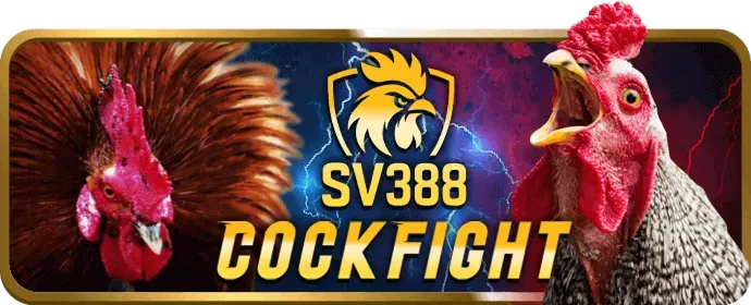 Cá Cược Bóng Đá bi88